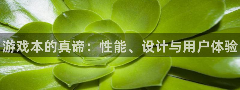 赢咖娱乐官网登录：游戏本的真谛：性能、设计与用户体验