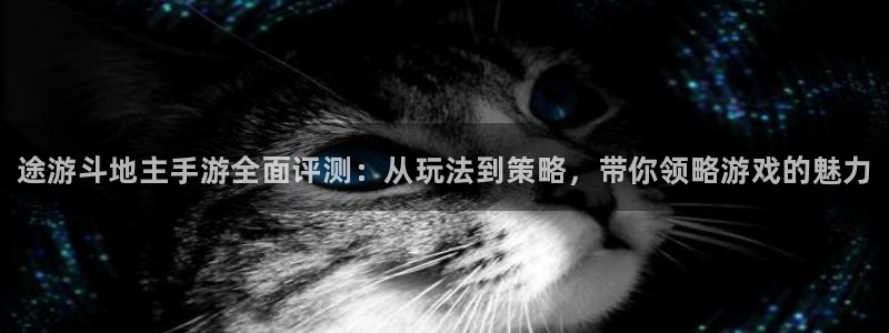 赢咖娱乐主管：途游斗地主手游全面评测：从玩法到策略，带你领略