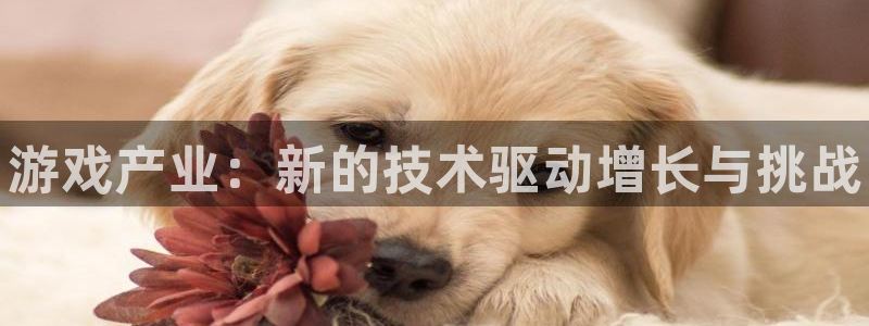 赢咖娱乐2首页登录：游戏产业：新的技术驱动增长与挑战