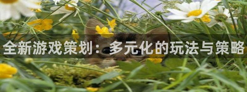 赢咖娱乐测速登陆：全新游戏策划：多元化的玩法与策略