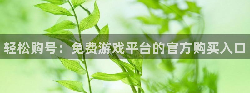 赢咖娱乐注册：轻松购号：免费游戏平台的官方购买入口