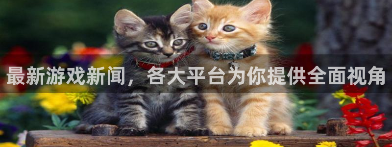 赢咖娱乐app下载：最新游戏新闻，各大平台为你提供全面视角