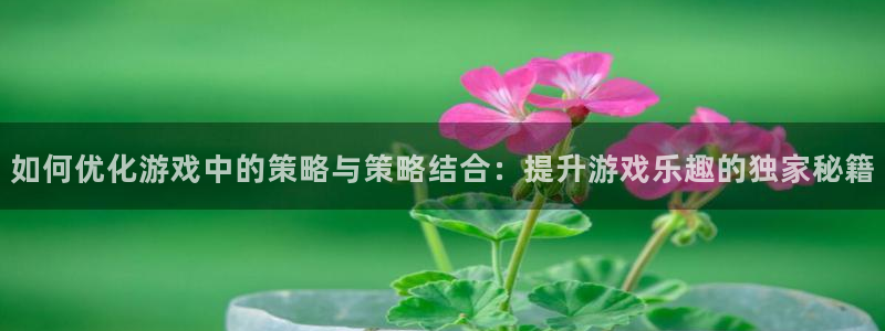 赢咖娱乐网页登录入口下载：如何优化游戏中的策略与策略结合：提