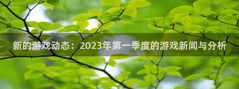 赢咖娱乐是什么：新的游戏动态：2023年第一季度的游戏新闻与