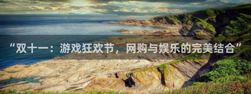 赢咖娱乐网页版地址：“双十一：游戏狂欢节，网购与娱乐的完美结