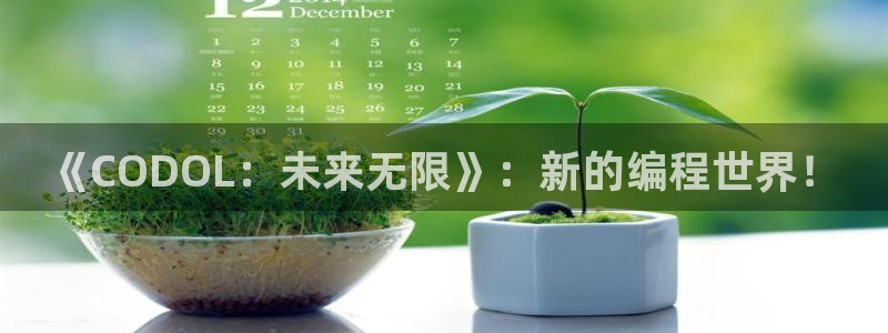 赢咖娱乐注册服务条款：《CODOL：未来无限》：新的编程世界