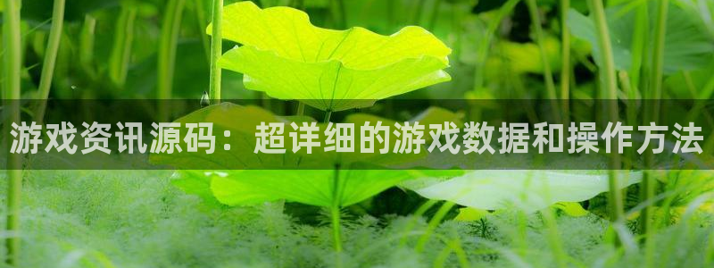 赢咖娱乐是什么：游戏资讯源码：超详细的游戏数据和操作方法