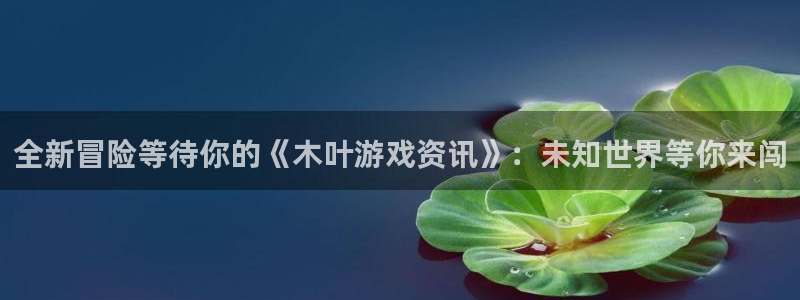 赢咖娱乐网址注册：全新冒险等待你的《木叶游戏资讯》：未知世界