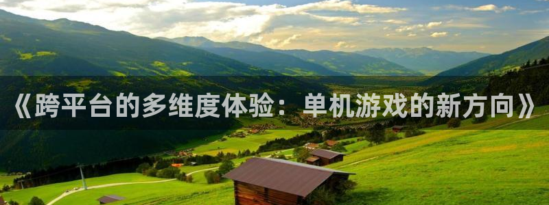 赢咖娱乐网址官网：《跨平台的多维度体验：单机游戏的新方向》