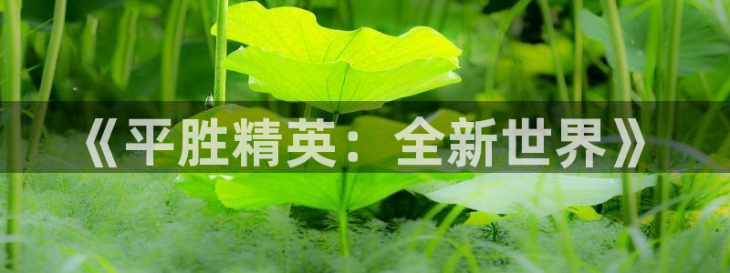 手机版赢咖娱乐客户端下载：《平胜精英：全新世界》